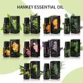 Essential Oil Gift Set Diffuser Humidifier Massage Aromatherapy Candle Making Skin Hair Care Peppermint Tea Tree Lavender 10ml.