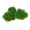 1Pack of 10g Model Static Grass Powder, Fake Grass for Miniature ,Terrain Landscape DIY Artificial, Sand Table Scenery Railway Layout. 
