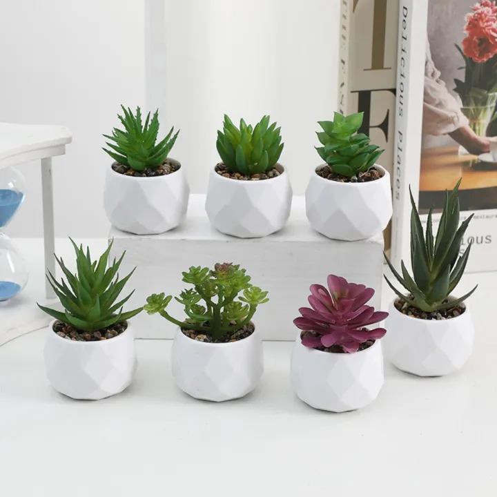 Mini%20Evergreen%20Artificial%20Succulent%20Fake%20Plants%20Plastic%20Succulents%20Bonsai%20Cactus%20Bonsai%20Plants%20Home%20-%20Image%207
