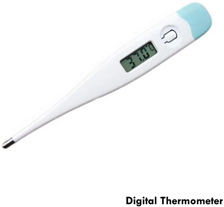 Digital%20Thermometer%20(Can%20Read%20Fahrenheit)%20-%20Image%202