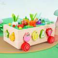 Shape Sorter Carrot Harvest Game Shape Sorter Toy for Toddlers Boys Children. 