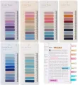 Morandi Sticky Tabs Book Tabs for Annotating Books Aesthetic Index Tabs Sticky Notes, Page Markers, Translucent, Writable, Repositionable, for Classify File, Filing Products Supplies. 