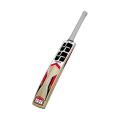 SS Master Kashmir Willow Cricket Bat, Short Handle. 