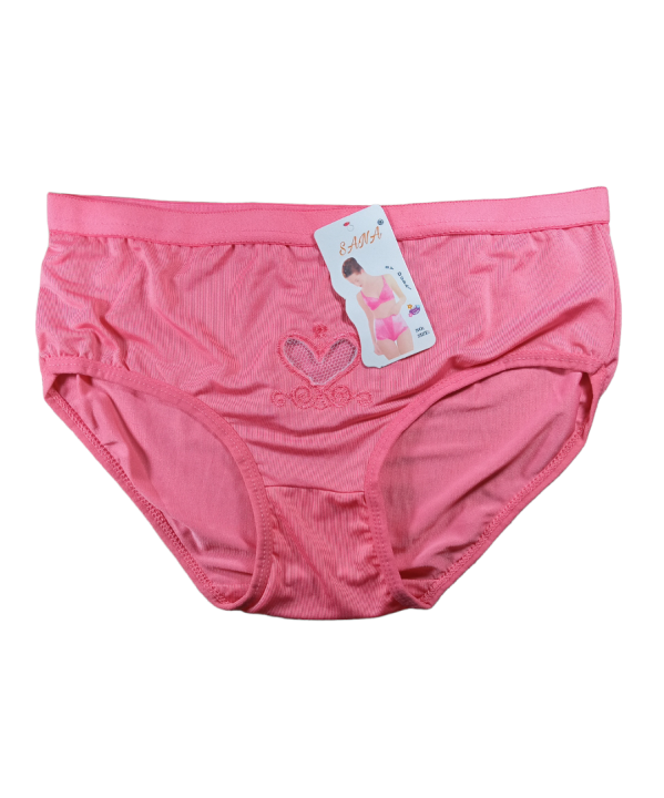 Women%20love%20panty%20Soft%20stretch%20Comfortable%20soft%20panty%20Multicolours-%202%20Pieces%20(Size%2032-38)%20-%20Image%203