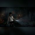 Playstatio4 PS4 Second Hand Game CD Fatal Frame Maiden of BlackWater Playstation4 Game Card Project Zero-Maiden of Black Water.