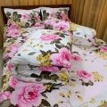 5 pieces cxcclusive combo set comforter pillow cover bedsheet.