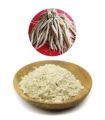 Sotomul Gura Powder 200 Gm Shatamul.