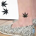 Waterproof Temporary Tattoo Sticker black Clover Maple leaf tattoo flash tatoo Water Transfer tatto for Woman Man. 