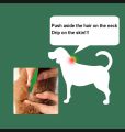 Flea Killer Spot On Dog & Cat, flea tick repeller spoton spray. 