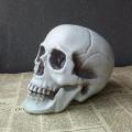 Halloween Artificial Skull Head Model Skull Bone Scary Horror Skeleton Ornament Creek.