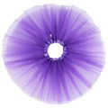 【3C VictoryEagle】2x Baby Girl Clothes Stars Sequins Ballet Dance Fluffy Tutu Skirt Purple & Blue. 