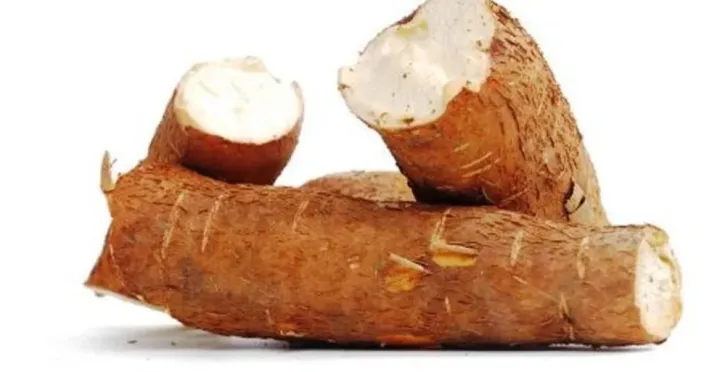 Shimul%20Mul%20Powder%20(Silk%20Cotton%20Root%20Powder)%20-%20200%20gm%20-%20Image%203