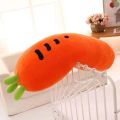 Carrot Shaped Soft pillow. 