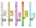 Kids Height measurement scale (Sticker Paper) বাচ্চাদের উচ্চতা পরিমাপের স্কেল (স্টিকার পেপার). 