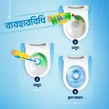 Buy Domex Toilet Cleaning Liquid Lime Fresh 500ml.