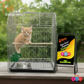 Code- 6045 - 18 x 12 Inches Thin Metal Wire Cage with Tray, Food & Water Pot for Budgerigar,Lovebirds,Finches,Parrots,Hamster,Cockatiel, Chicken,Duck,Quail,Rabbit ,Cat,Dog ,Dove | bird cage house accessories food toy nest harness feeder china decoration.