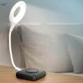 Voice Controlled Table Lamp Dimmable Mini Laptop Lamp for Computer PC Work. 