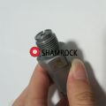 Common Rail Pressure Relief Valve Limiter Sensor OEM 1110010020/1 110 010 020-2 pieces. 