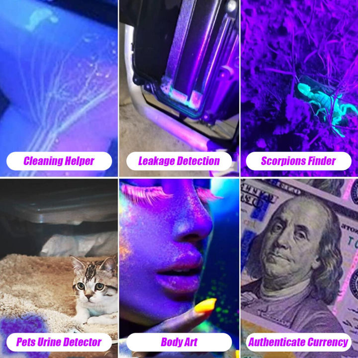 Rechargeable%20365/395nm%20UV%20Flashlight%20Ultraviolet%20Lamp%20Torch%20Black%20Light%20Pet%20Moss%20Detector%20For%20Cat%20Dog%20Stains%20Bed%20Bug%20Moldy%20Food%20-%20Image%209