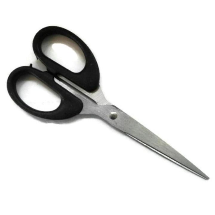 Stainless Scissors