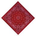 Women 55cm*55cm Head Wrap For Graffitin B-Boyin Sports Paisley Neck Wrist Band Bandana Square Scarf Handkerchief Scarves.