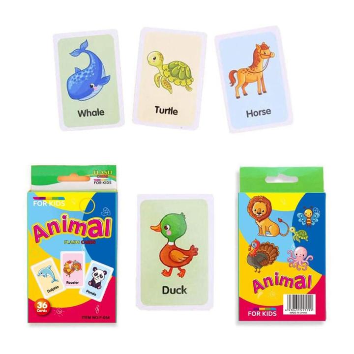 Animal flash cards - Multi Color