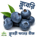 Blueberry Fruit Seeds - 50 Pieces +gift ( best quality seeds and 99% germination rate).