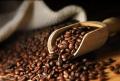 Coffee Beans (Medium roast) -50g {Indonesian}. 