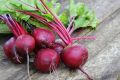 Beetroot Seed - 03/06/10 gram Seed - বিটরুট / বিটকপি লাল বীট এর বীজ.