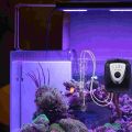 Pump Pond Aerator Air Solar Set Aquarium Tank Kit Oxygenator Power Bait Tanks Circulation Water Gardening Pool Bubble. 