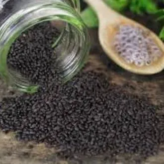 Tokma%20Dana%20/Basil%20Seed(Clean%20)-250%20gm%20-%20Image%202
