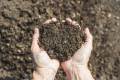 Vermicompost /Kecho Sar Organic Compost fertilizer for Plants Plant food  pack. 