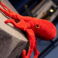 【Daily Necessities For Anyone Store】Lifelike Cute Giant Octopus Plush Doll Red Octopus Realistic Marine Animal Plush Doll Pillow Home Decoration For Boys Gifts. 