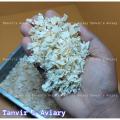 Imported Wood Shaving For Bird Breeding. 