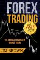 FOREX TRADING: The Basics Explained in Simple Terms by Jim Brown. 