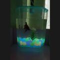 Betta Aquarium , Betta  House With Light , Fish Tank.. 