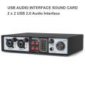 2 in 2 Out USB Audio Interface 32Bit/384KHZ Studio Kit Record Professional Sound Card 48V Phantom Easy to Use. 