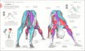Science Of Yoga [Paperback]. 