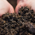 Premium High Quality Organic fertilizers for Plants 2 KG fertilizer Bumper Folon joibo sar. 