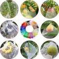 10 PCS Fruit Garden Nylon Protection Bag Insect-proof protection Bag Insect Mesh Net for Anti Insect.