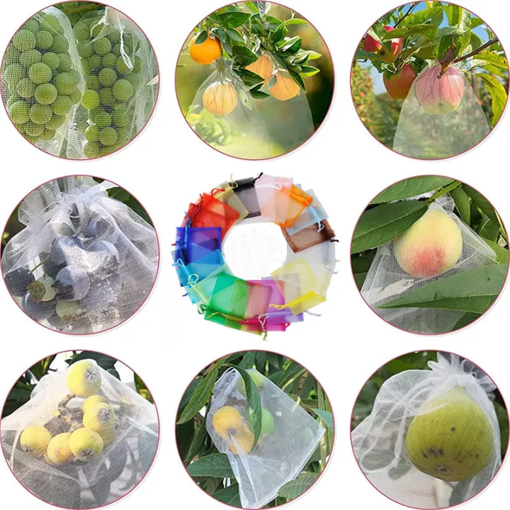 10%20PCS%20Fruit%20Garden%20Nylon%20Protection%20Bag%20Insect-proof%20protection%20Bag%20Insect%20Mesh%20Net%20for%20Anti%20Insect%20-%20Image%208
