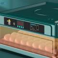 Automatic Intelligent Egg Incubator Egg Hatcher for Family Use Chicken Birds 64eggs. 