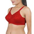 Juliet Women Cotton Non Padded Regular Bra - Indian Red 42. 