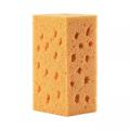 Car Wash Coral Sponge. 