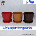 Flower tob 6 inch 3 pcs combo plastic pack flower pot/ Tub / Indoor Camellia Planter With Tray - 3 Pcs. Plastic flower tub camellia planter Gardening planter pot.