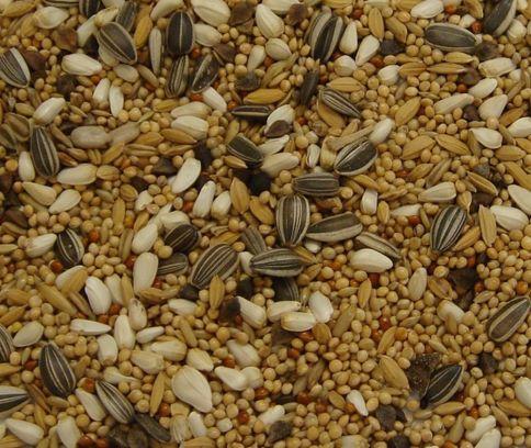 All%20Natural%20Cockatiel%20Blend%20Bird%20Seed%20-%201KG%20-%20Image%203