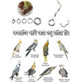 Cockatiel Bird Leg Ring Size 5.5 Mm. 