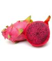 Red velvet dragon Fruit tree 1pic.
