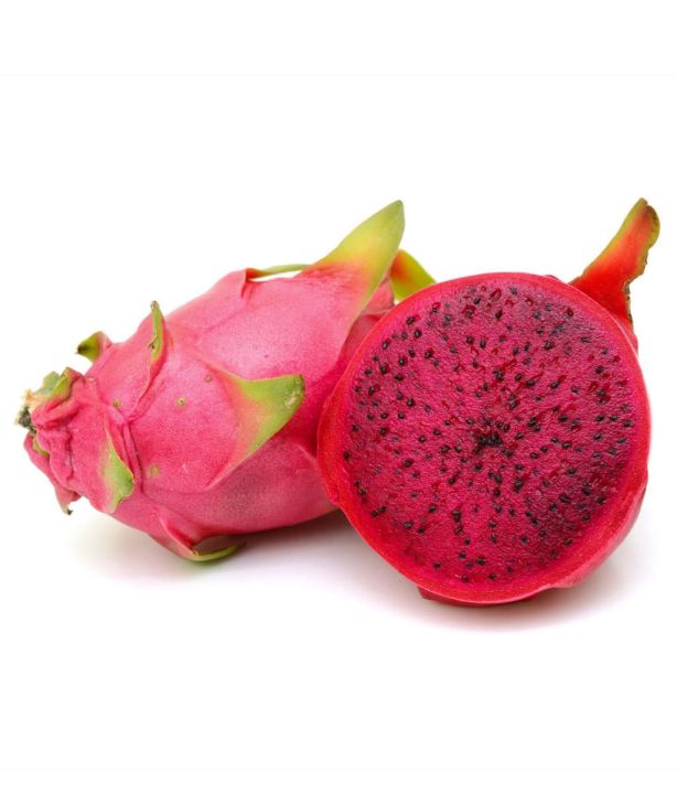 Red%20velvet%20dragon%20Fruit%20tree%201pic%20-%20Image%203