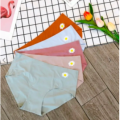 Imported silk comfortable long time useable panty underwear for women - One Piece. 